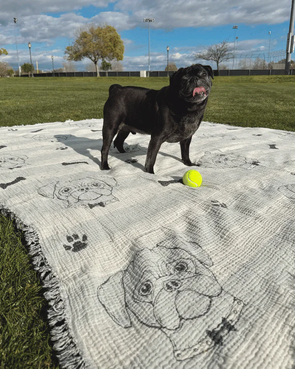 Pug - PARTY BLANKET™ - Image 2